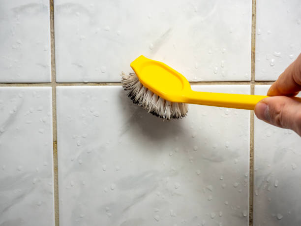 Best Mold Remediation  in Indian Springs, GA