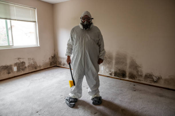 Best Residential Mold Removal  in Indian Springs, GA